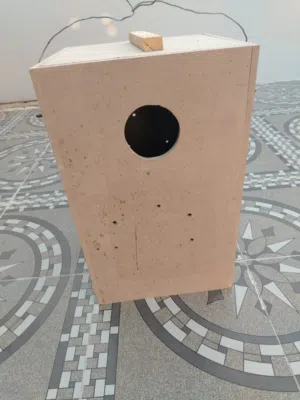 صندوق بغبغاء للبيع