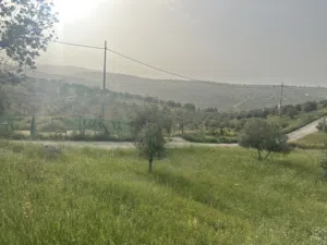 Farm Land for Sale in Zarqa Al-Alouk
