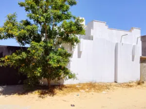 السلام عليكم ورحمة الله وبركاتة  عرض اليوم حرق السعر علي الهاتف  استراحه للبيع تاجوره موسي كوسه