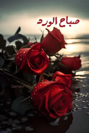 ‏شهري ‏.‏ 60 م٢‏1