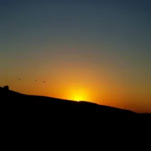 عبدالفتاح 