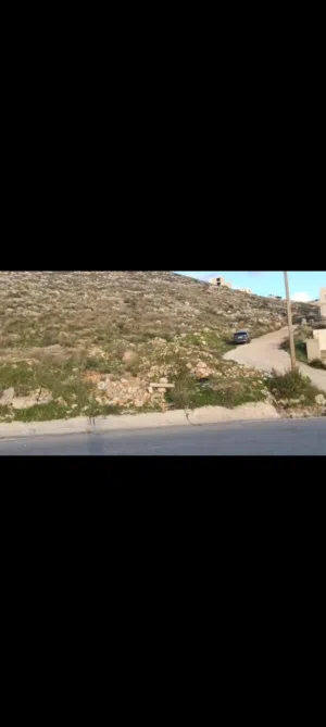 ارض للبيع في دير ابزيع  تيجاري ع الشارع الريسي  مباشره  يوجد  مساحه اكبيره