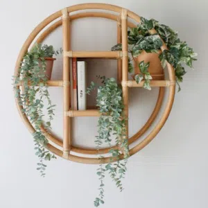 ديكور كتب وديكور نباتات لوحات فنيه للمحلات والمنازل وصالات العرض.                       .