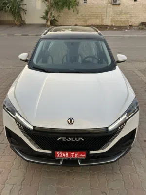 Dongfeng . Mage EV . Monthly4