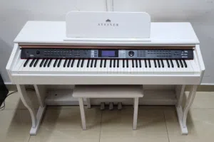 The Steiner DP-1200 is a popular 88-key weighted digital piano designed for both beginners