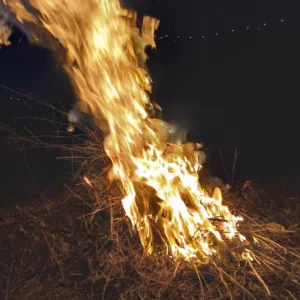 نصر 