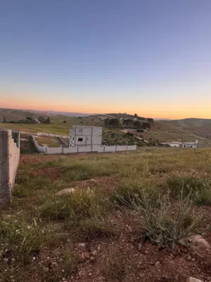 Farm Land for Sale in Mafraq Bala'ama