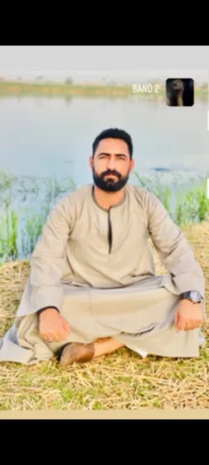 alaa ahmed ali 