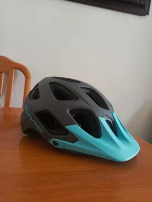 خوذة شوين schwinn excursion