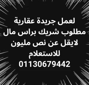 مطلوب شريك ممول لعمل جريدة عقارية