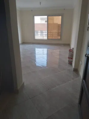 مطلوب شقه عزاب (مجلس )