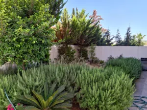 100 m2 2 Bedrooms Apartments for Sale in Amman Abdoun