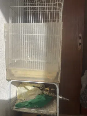 قفص كاسكو مع ستاند