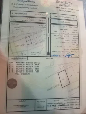 Farm Land for Sale in Al Dhahirah Ibri