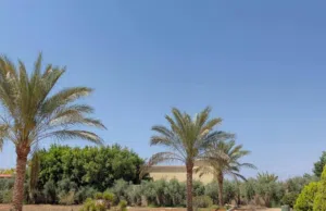 قطعة ارض عل رائيسي مباشر تيكه 9 هكتار