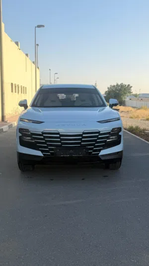Used Jetour Dasheng in Sharjah