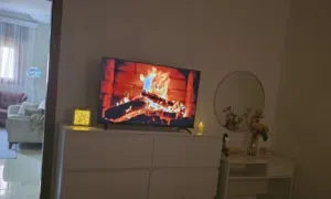 فيلا ولا بالخيال كزيونى صلاح الدين ابن النفيس
