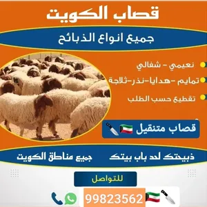 قصاب الكويت  جميع انواع الخرفان  جهزين لجميع المناسبات  هديه. تمايم. توزيع. ثلاجه  انعيمي اشفالي ص
