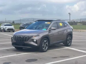 New Hyundai Tucson in Jenin