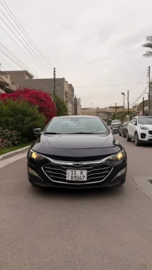 ماليبو 2023