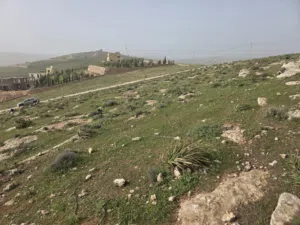 قطع اراضي مميزة للبيع شرق جرش طريق الزرقاء جرش ، منطقة دحل،غربية مطلة مرتفعة وكاشفة ومحاطة بشاليهات