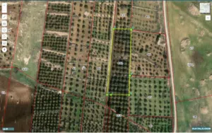 Farm Land for Sale in Irbid Ham