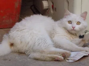 اسمها سعديه عمرها ثلاث اشهر