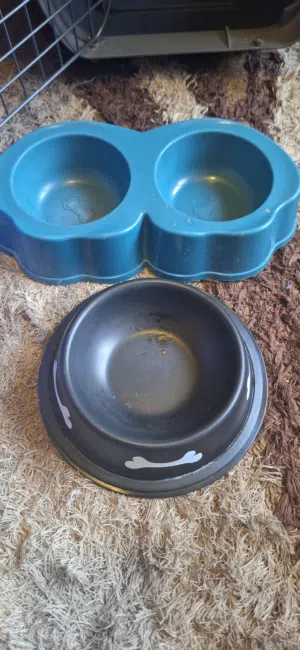 مجموعه أغراض للقطط للبيع بحاله جيده جداا واستعمال بسيط