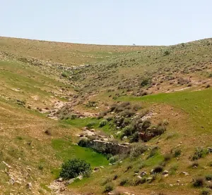 Farm Land for Sale in Mafraq Other
