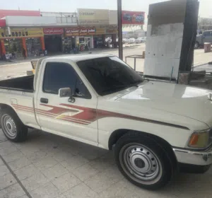 مامون 
