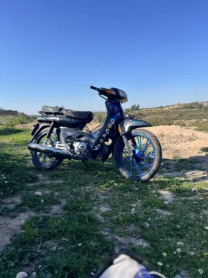دوكير 2024