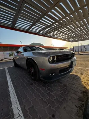 Used Dodge Challenger in Hawally