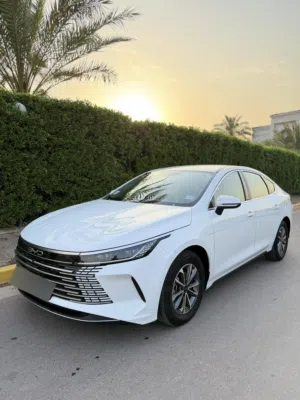 بي واي دي دستروير