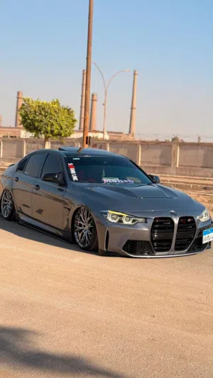 BMW.f30.320