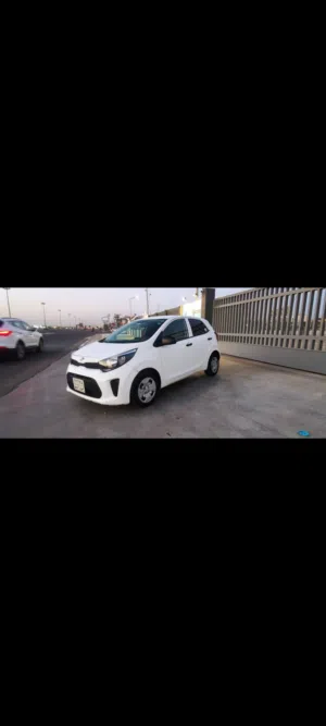 للبیع کیا بیکانتو خلیچی