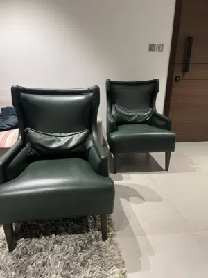 كرسين جلد فاخر من Enza Home