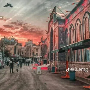 روضي روضي 