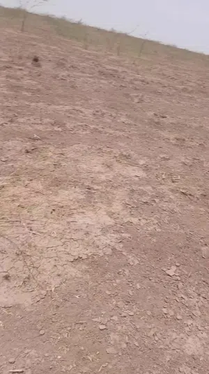 Farm Land for Sale in Khartoum Jabal Awliya