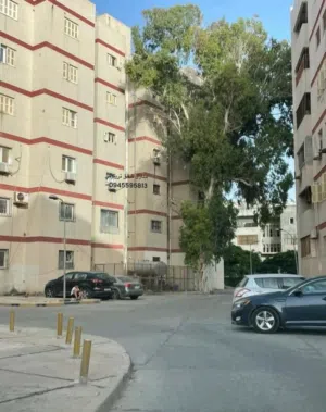 شقة بالدور الثاني بعمارات سوق الثلاثاء مؤثتة بالكامل حجم كبير للأيجار؟