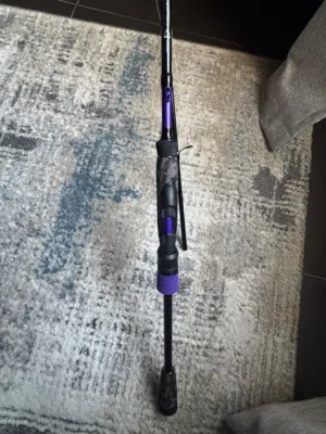 للبيع قصبة ( سنارة ) بيركلي  berkley fishing rod