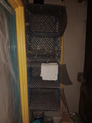 سلاكات لجميع انواع الطيور