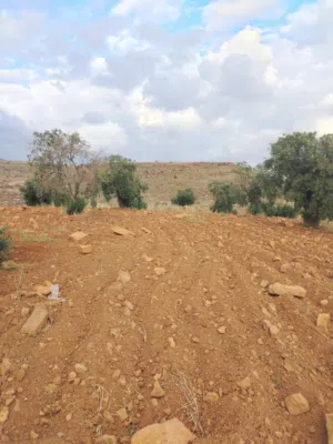 Farm Land for Sale in Jerash Borma