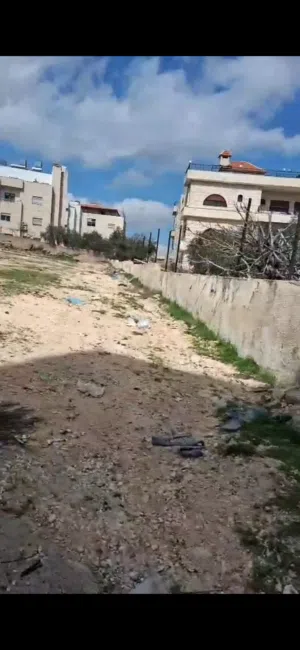 Residential Land for Sale in Amman Shafa Badran
