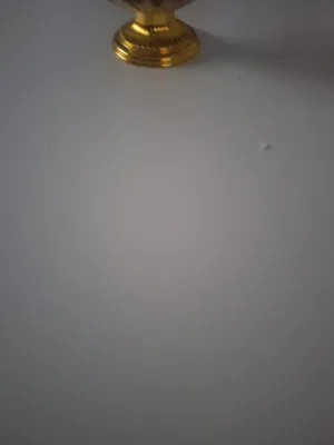 روف للايجار الذراع الغربي