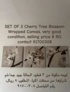 طقم لوحة جدارية مكونة من 3 قطع . Set of 3 wall paint
