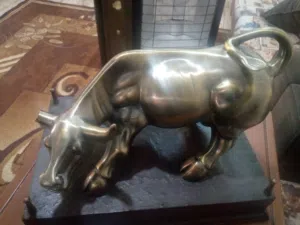 منظر ثور للبيع