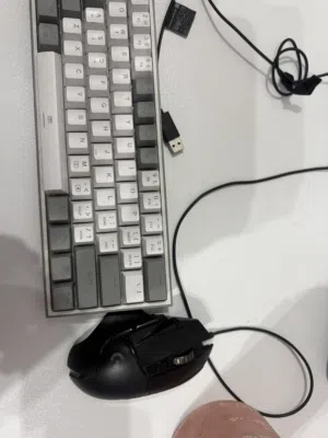ماوس وكيبورد