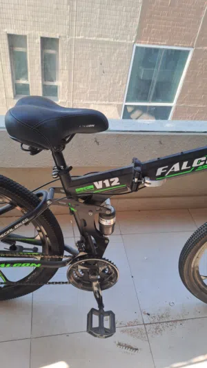 Bicycle bike rider mountain Falcon V12  MTB series Bike for Sale big size