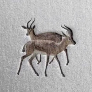 تذكار 