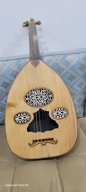 عود عراقي للبيع